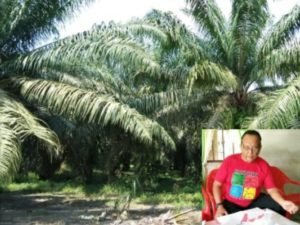 Koptan Mugi Rahayu Minta TBUPP Bantu Lepaskan Lahan Ex HGU PT KG