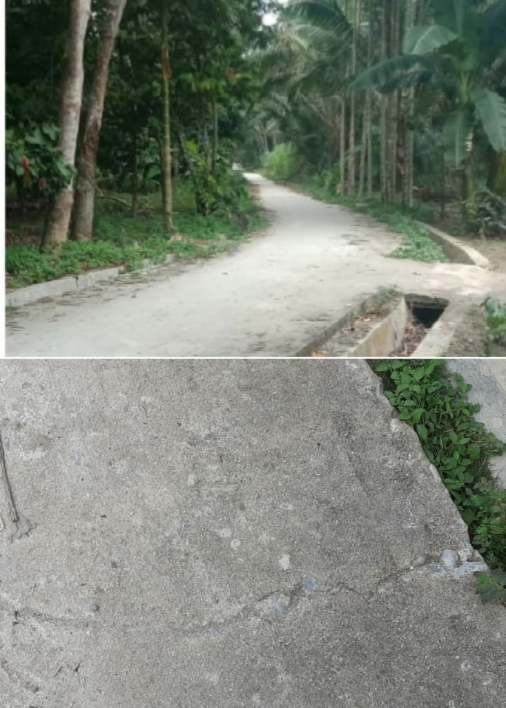 Berbagai Dugaan Masalah Desa Perk Petatal Terungkap