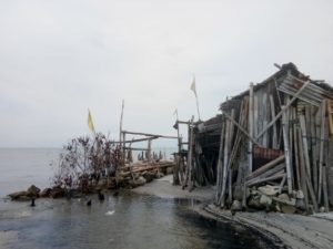 Hidup Sebatang Kara di Gubuk Reot, Kisah Lansia di Bibir Pantai Bunga Ini Mengiris Hati