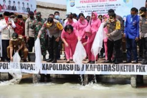 Tabur 10 Ribu Bibit Ikan, Kapoldasu: Operasi Nusa ll Membantu Masyarakat