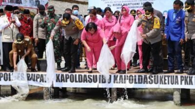 Tabur 10 Ribu Bibit Ikan, Kapoldasu: Operasi Nusa ll Membantu Masyarakat