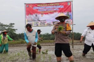 Sawah Desa Antara 77,32 Ha Diminta Tidak Jadi Pemukiman dan Perkebunan