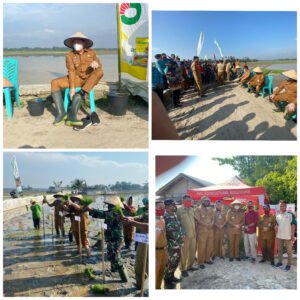 Zahir: Pola Tanam Serentak Hindari Hama