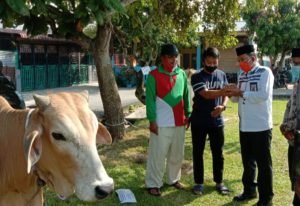NU Batubara Sembeli Hewan Qurban dengan Protokol Covid-19