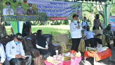 Bupati Bersama Kapolres Panen Padi di Desa Aras
