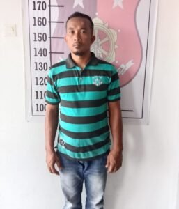 Curi Hp, Pria Desa Padang Garugur Ini Ditangkap Polsek Padang Bolak