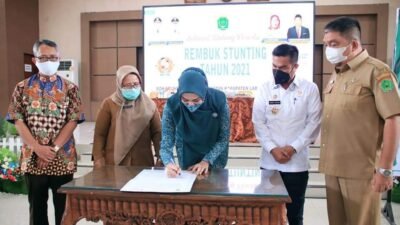 Upaya Penanggulangan Stunting, Dinkes Labura Buat Rembuk