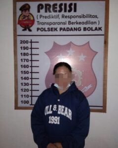 Simpan 73 Paket Sabu Dalam Almari, Wanita Ini Diringkus Polsek Padang Bolak