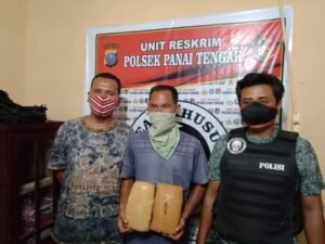 Warga Aceh Ini Diringkus Polsek Panai Tengah Bersama 2 Kg Ganja