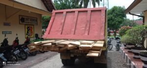 4 Pelansir Ilegal Logging Ditangkap, 2 Bos Masih Diburu Polisi