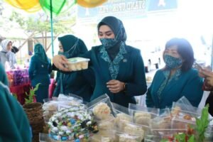 Ketua TP PKK Labura Apresiasi Kader