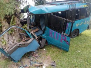 Hindari Laga Kambing, Bus KUPJ Nyungsep di Bawah Pohon Sawit