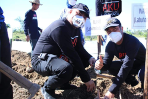 Bupati Labura Bersama Wakil Tanam Porang