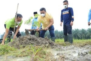 Milad BKPRMI ke-44, Bupati dan Wakil Tanam 200 Pohon di Alun – Alun Labura