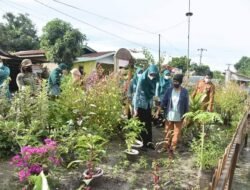 Desa Percontohan PHBS Dikunjungi TP PKK Batubara