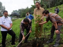 Inalum Bagikan 1500 Batang Mangga Varietas, 600 Kg Pupuk Kompos dan 75 Liter Pupuk Cair