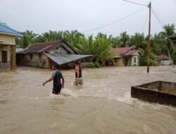 Tanggul Sungai Kualuh Jebol, Satu Rumah Terbawa Arus