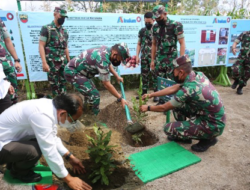 Inalum Bersama Kodam 1 BB Tanam 4000 Macadamia Nuts dan 1000 Mahoni