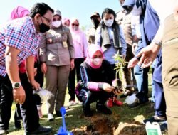 Ketua DRI Sumut Tanam 1200 Andaliman di Karo