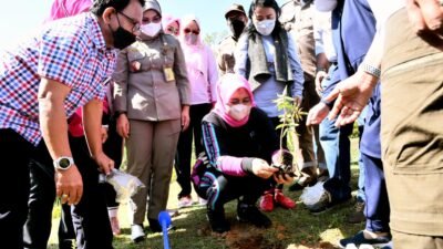 Ketua DRI Sumut Tanam 1200 Andaliman di Karo