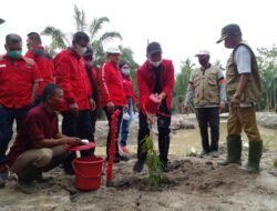 HUT PDIP Ke-49, Bupati Zahir Tanam 5000 Pohon Buah