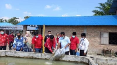 HUT Megawati Soekarno Putri, PDIP Batubara Beri Bibit Ikan Ke 6 Koptan