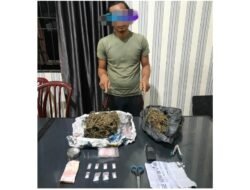 Pria Desa Kwala Air Hitam Diamankan Bersama Sabu dan Ganja