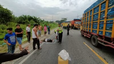 Pengendara Supra X Tewas Ditabrak Mobar Box