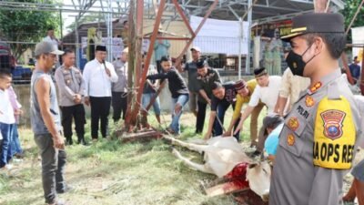 Polres Batubara Sembeli 6 Ekor Hewan Qurban