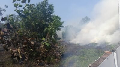 800 Meter Lahan Inalum di Batubara Terbakar