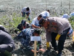 Kapolsek Medang Deras Tanam Mangrove di Pantai Jono