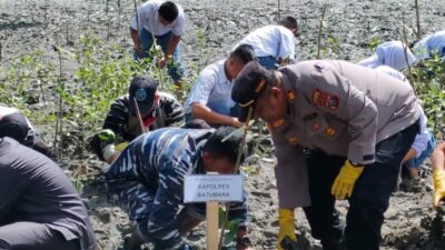 Kapolsek Medang Deras Tanam Mangrove di Pantai Jono
