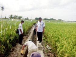 Pemdes Tanah Tinggi Bangun Drainase 270 M Senilai Rp 162 Juta