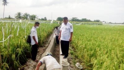 Pemdes Tanah Tinggi Bangun Drainase 270 M Senilai Rp 162 Juta