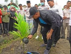 Zahir Tanam Pohon Pinang di Jln Simodong