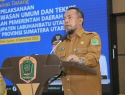 Pemkab Labura Terima Predikat Zona Hijau Dari Ombusdman RI
