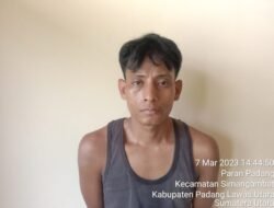 Pria Simangambat Jae Ditangkap Dikebun Sawit, Sita 8 Bungkus Sabu dan Uang