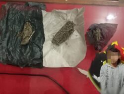 Polsek Indrapura Tangkap Pemuda Desa Tanah Merah