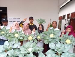 Pemdes Tanah Rendah Panen Sayuran