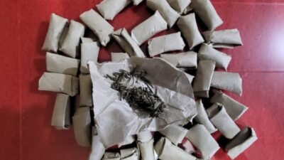 Polsek Indrapura Amankan 46 Bungkus Ganja dari Pria Desa Suka Rame