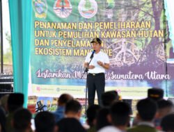 Pemprov Sumut Tanam 10 Ribu Mangrove