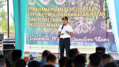 Pemprov Sumut Tanam 10 Ribu Mangrove