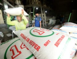 Pemprovsu, BI Satgas Pangan dan Bulog Cek Penyebab Harga Beras Naik