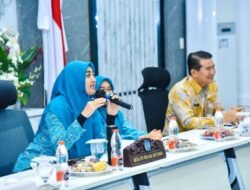 Sosialisasi Aplikasi e-Reporting PKK di Batubara