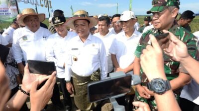 Pj Gubsu Panen Raya Cabai Merah di Batubara