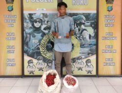 Polsek Labuhan Ruku Tangkap Pencuri Toko Sayuran