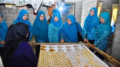 Terima Kunker TP PKK Aceh Besar Maya Zahir Perlihatkan Karya UMKM Batubara