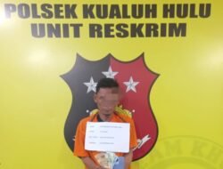 Viral di Tiktok, Pria Tebing Tinggi Curi Handphone di RSUD Diringkus Polsek Kualuh Hulu