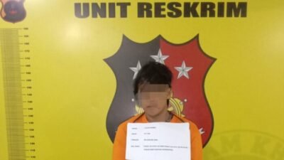 Polsek Kualuh Hulu Tangkap Pengedar Sabu di Kebun Sawit