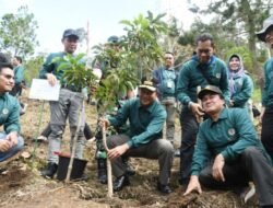 Pj Gubernur Terus Penanaman Pohon Penting Upaya Rehabilitasi Lahan Kritis di Sumut